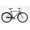 Classic Serious Bourbon 3-Speed Bicycle (50 Cm)